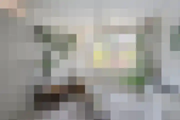 Houtwal 8 Gemert thumbnail 9