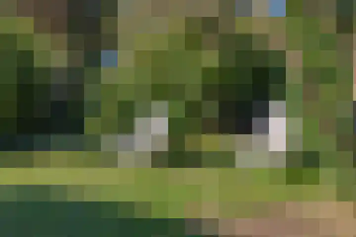 Houtweg 1 Holten thumbnail 37