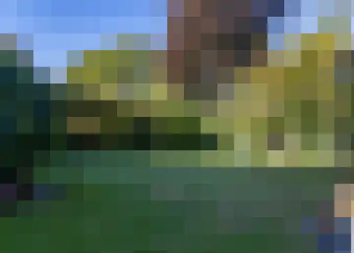 Houtweg 1 Holten thumbnail 38