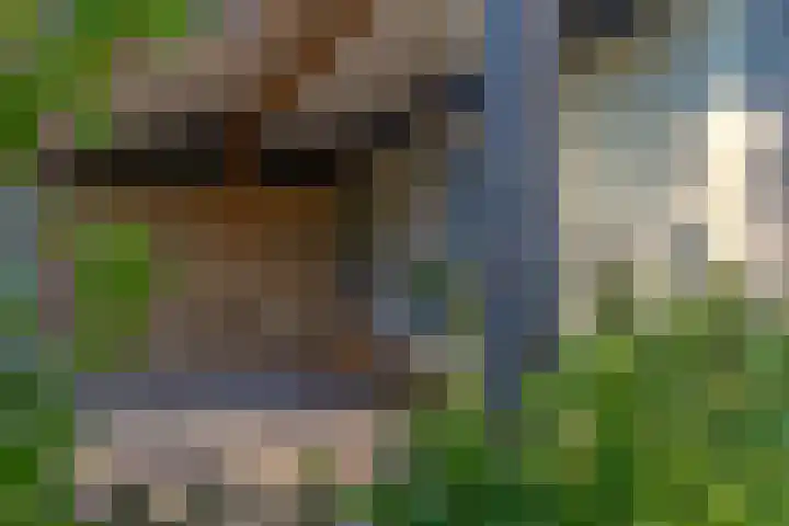 Houtweg 1 Holten thumbnail 47
