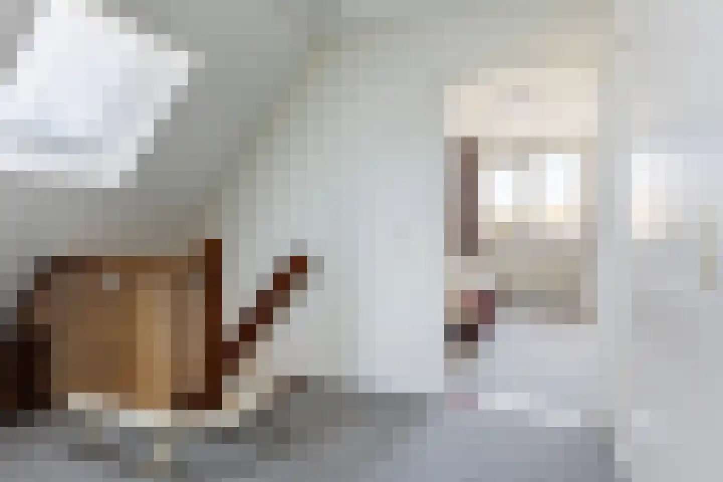 Houtweg 11 Oene thumbnail 24