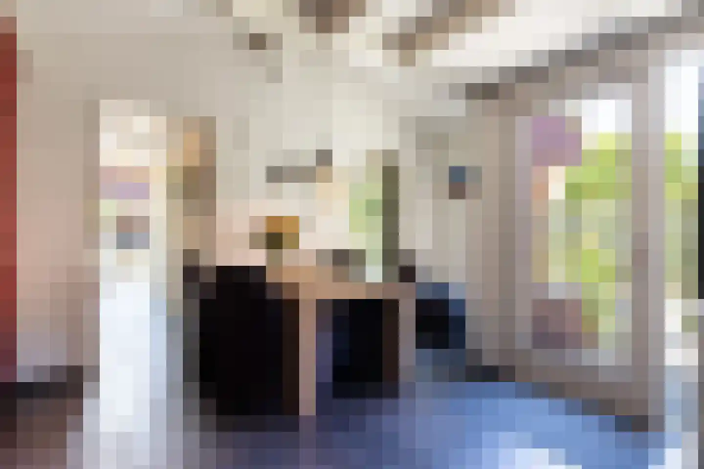 Houtweg 15 Apeldoorn thumbnail 13