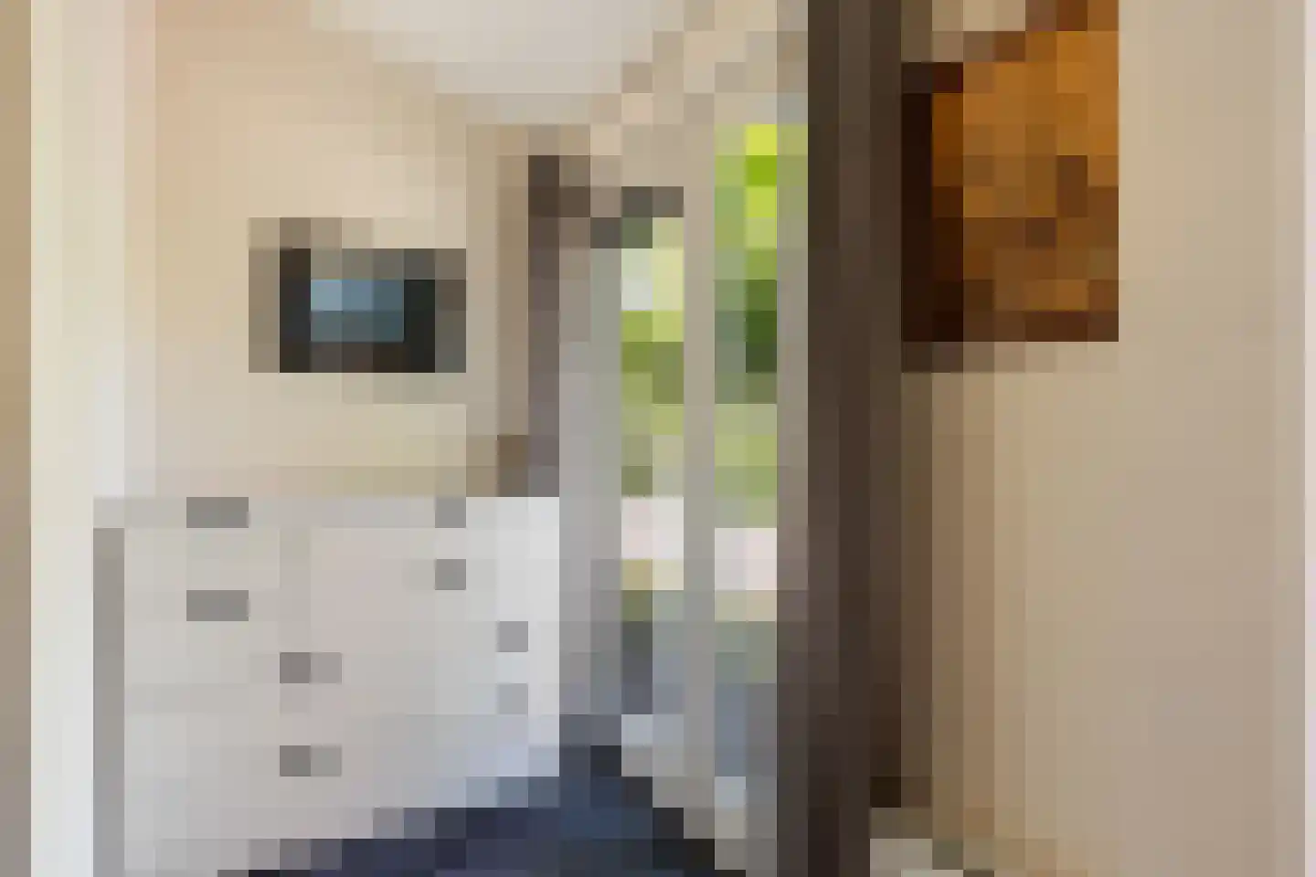 Houtweg 15 Apeldoorn thumbnail 18