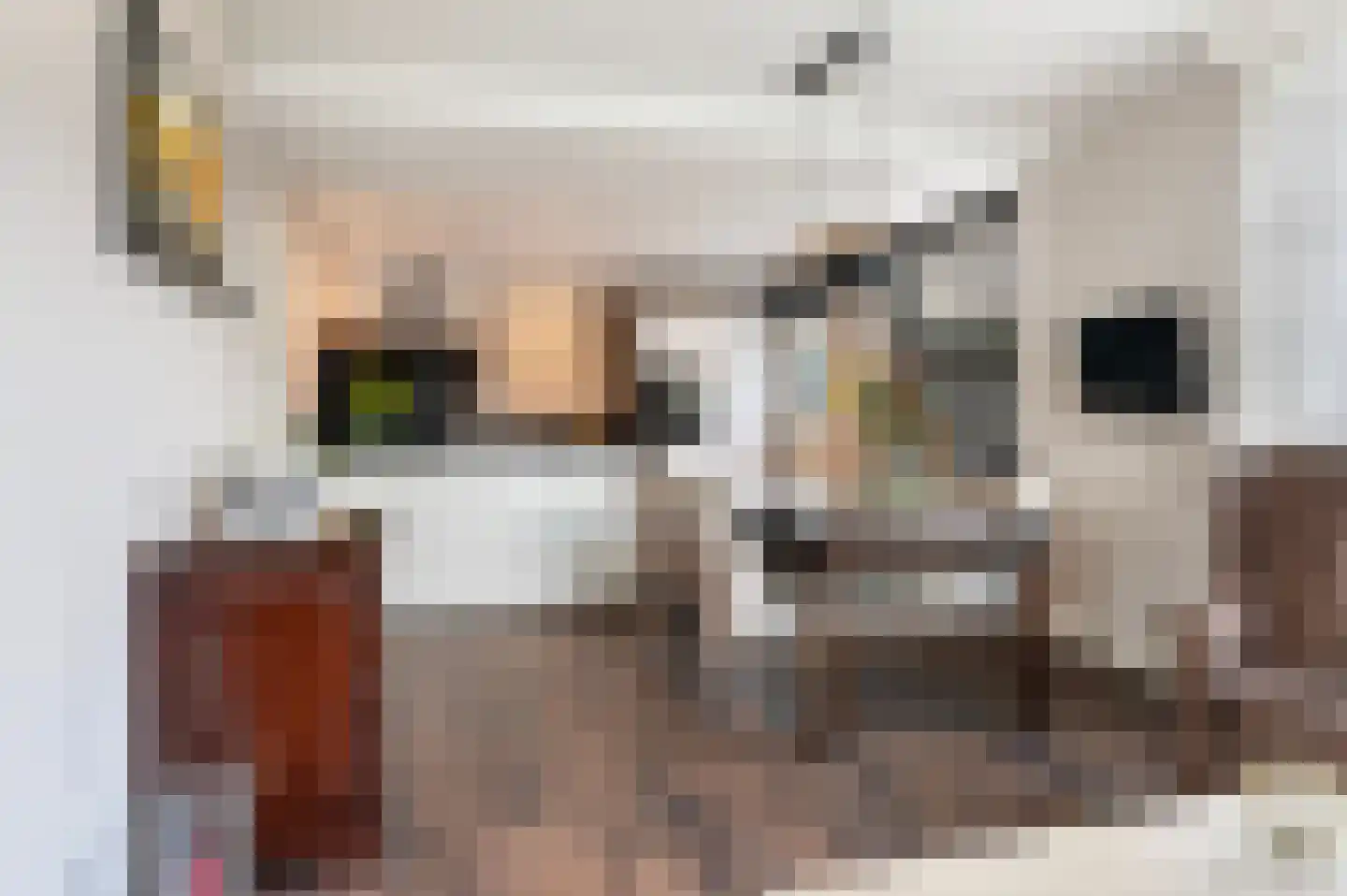 Houtweg 16 Oene thumbnail 12