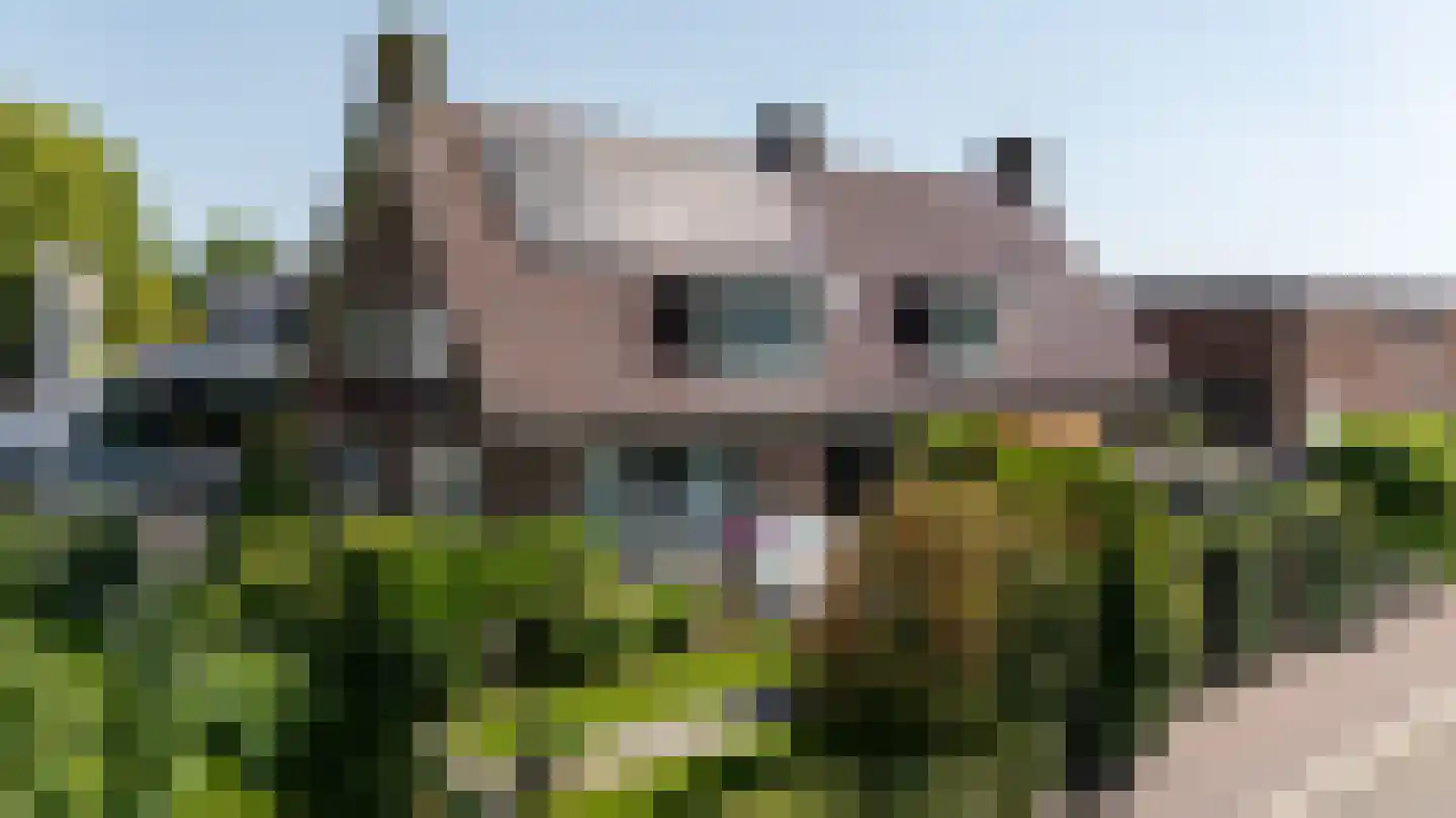 Houtweg 16 Oene thumbnail 27