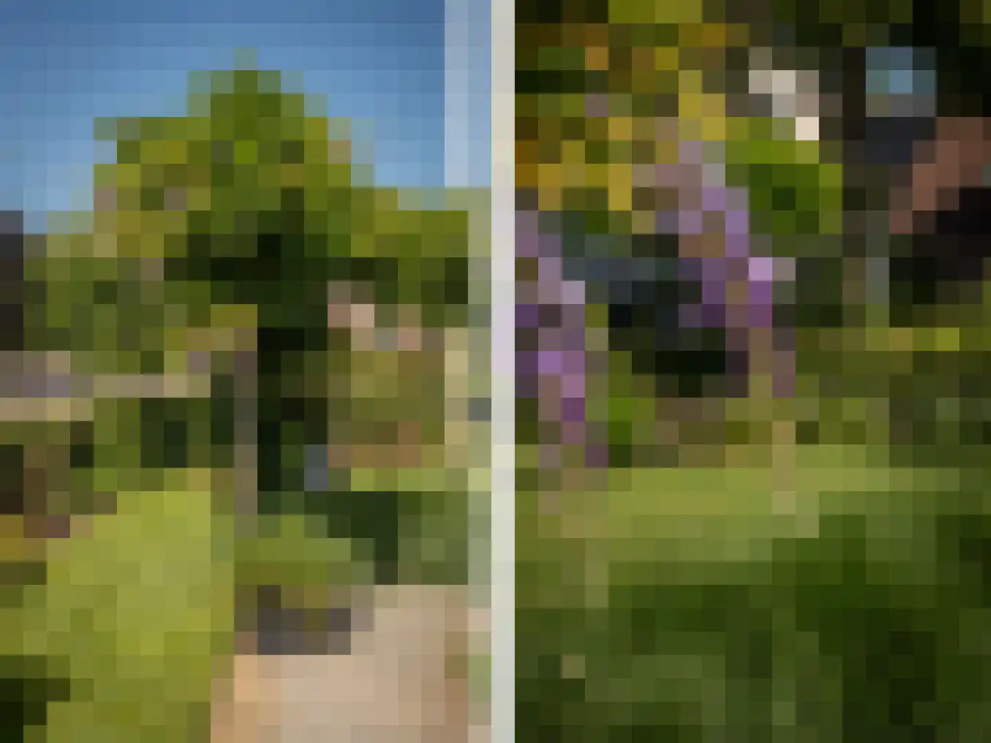 Houtweg 16 Oene thumbnail 28