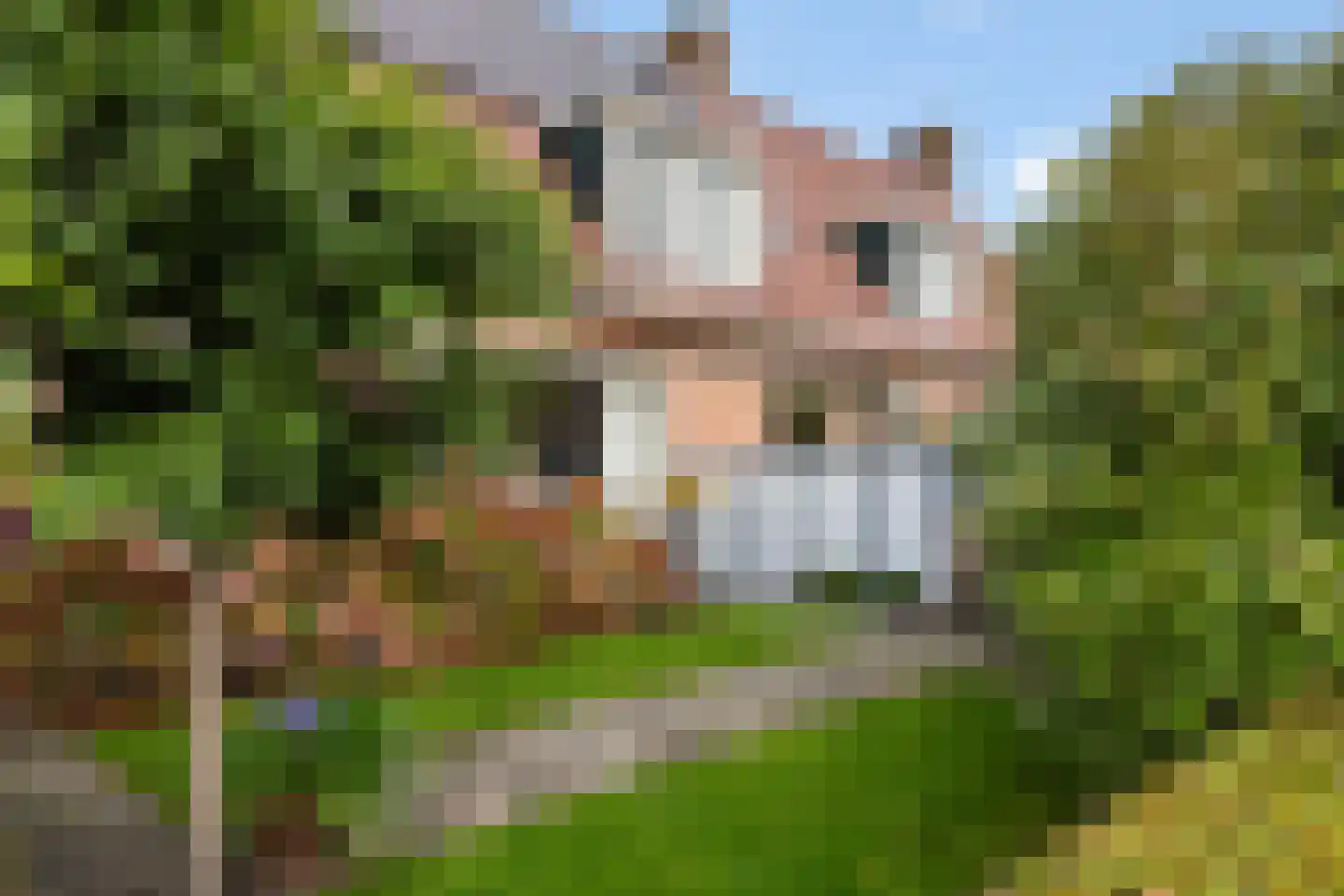 Houtweg 16 Oene thumbnail 34