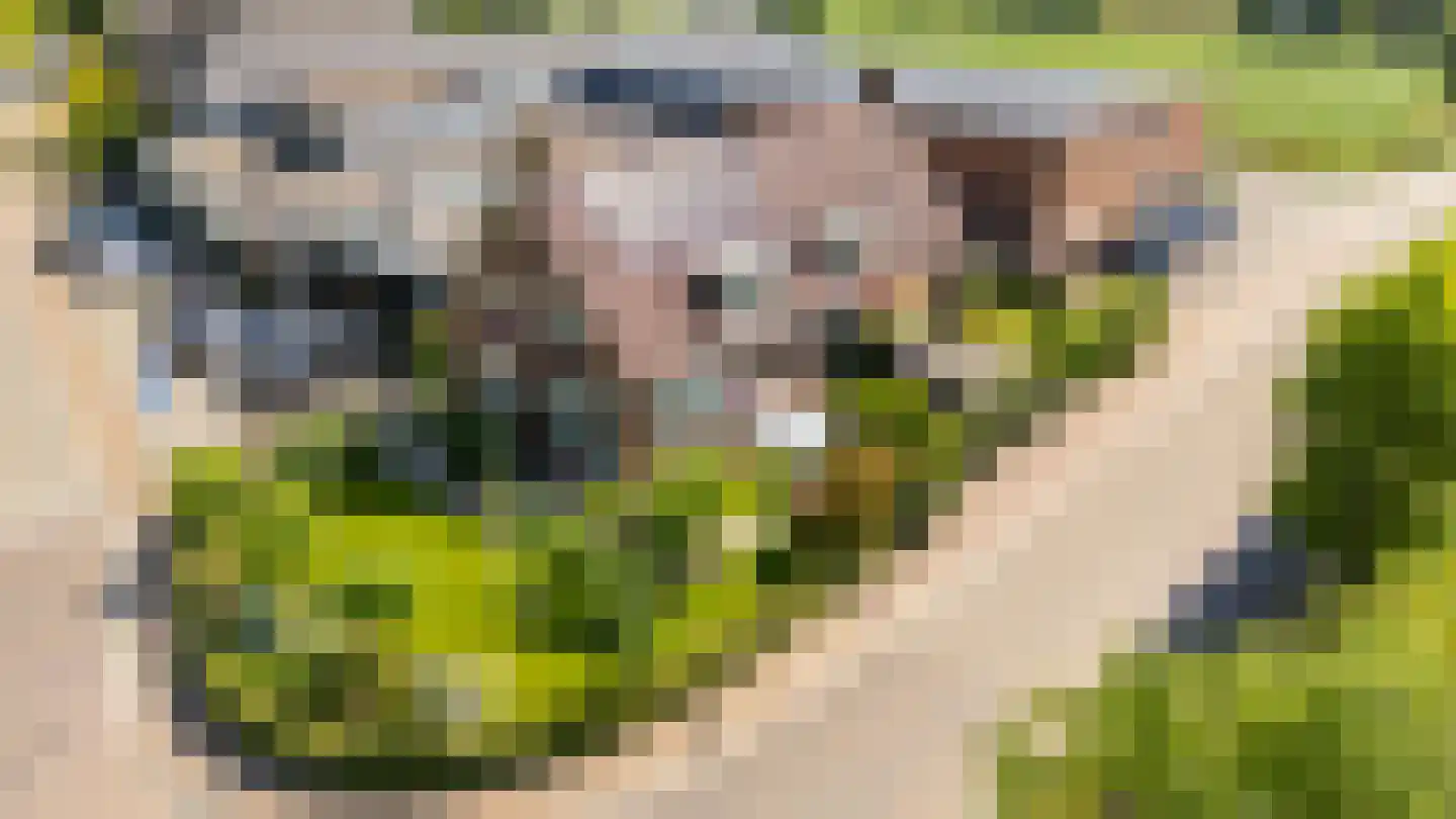 Houtweg 16 Oene thumbnail 37