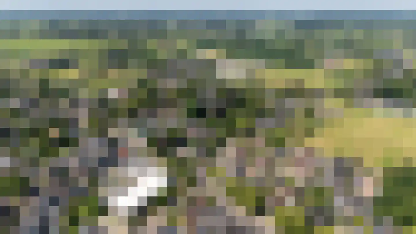 Houtweg 16 Oene thumbnail 38