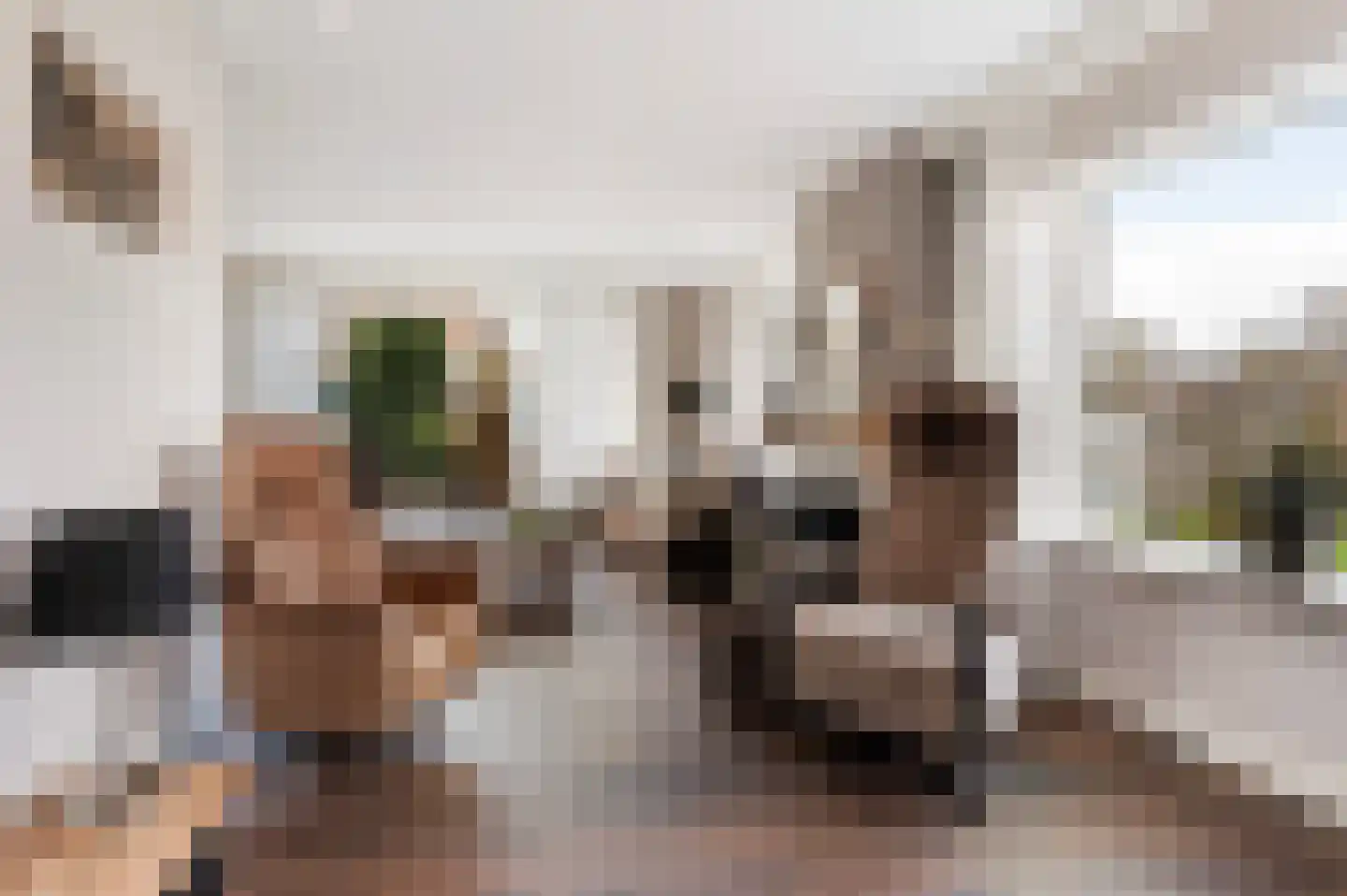 Houtweg 16 Oene thumbnail 5