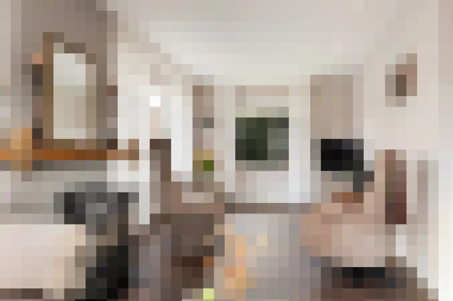 Houtweg 16 Oene thumbnail 6