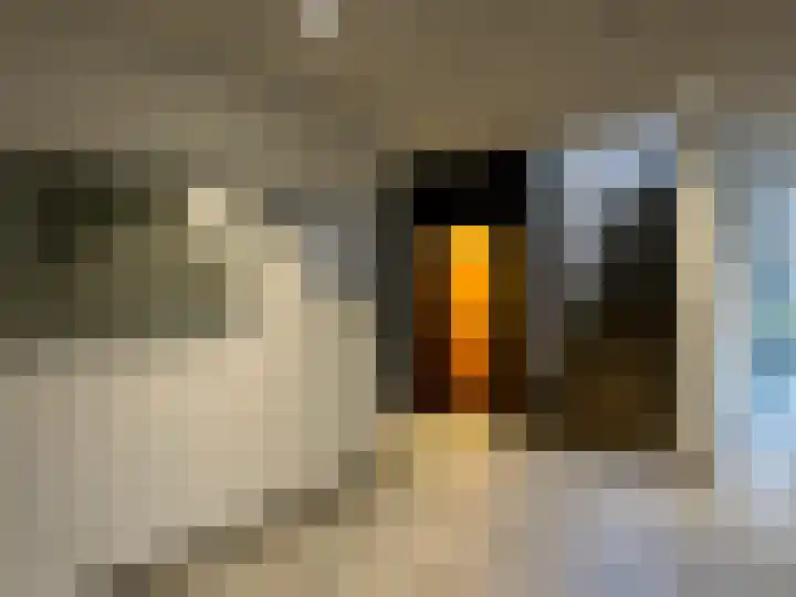 Houtweg 167 Emmen thumbnail 4