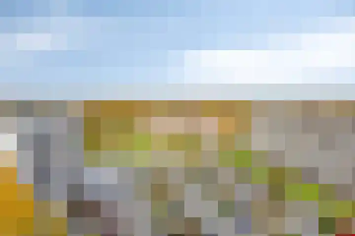 Houtweg 179 Emmen thumbnail 35