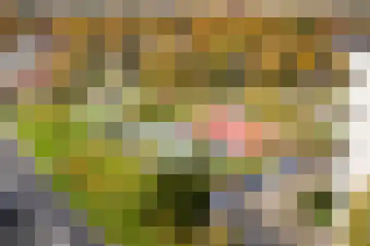 Houtweg 179 Emmen thumbnail 39