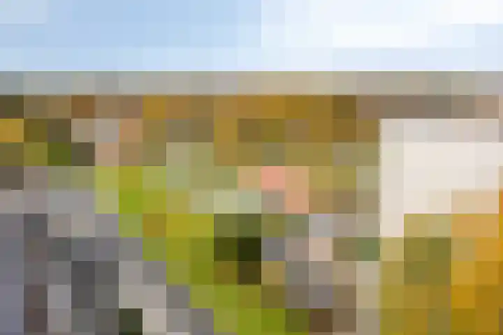 Houtweg 179 Emmen thumbnail 40