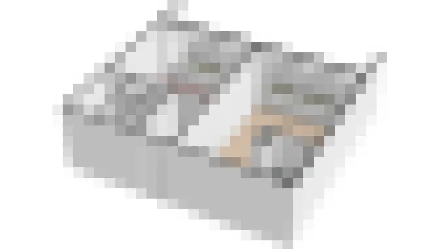 Houtweg 205 Emmen thumbnail 37