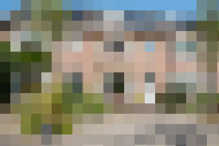Houtweg 22 dans Alkmaar
