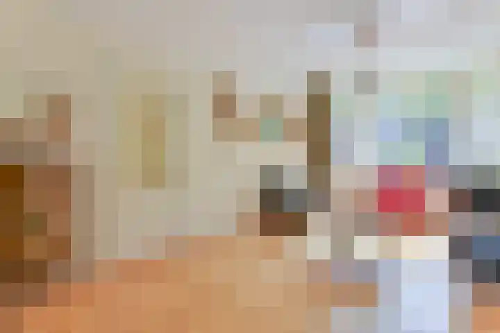 Houtweg 22 Alkmaar thumbnail 11