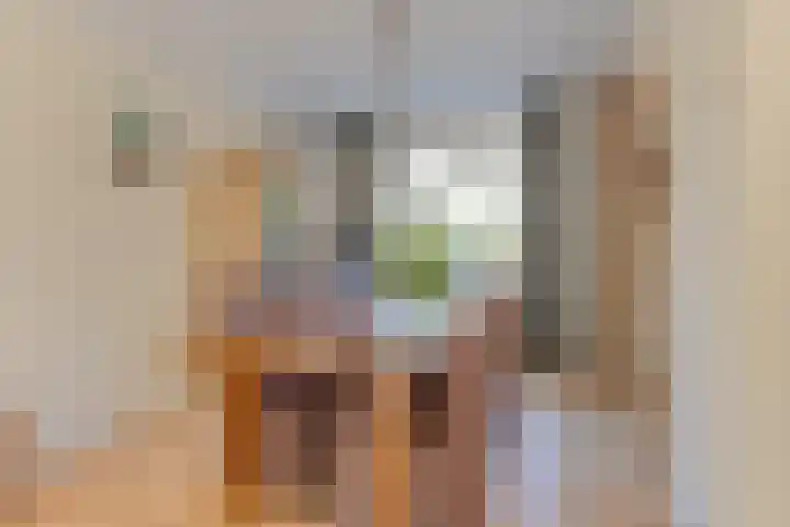 Houtweg 22 Alkmaar thumbnail 14