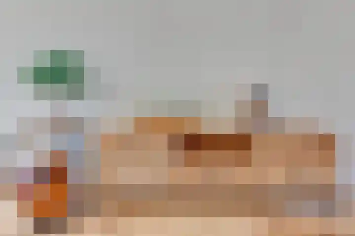 Houtweg 22 Alkmaar thumbnail 15