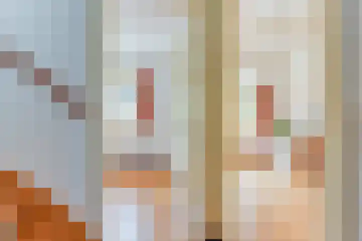Houtweg 22 Alkmaar thumbnail 22