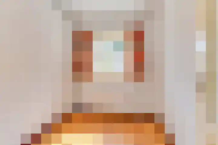 Houtweg 22 Alkmaar thumbnail 26