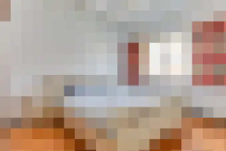 Houtweg 22 Alkmaar thumbnail 29