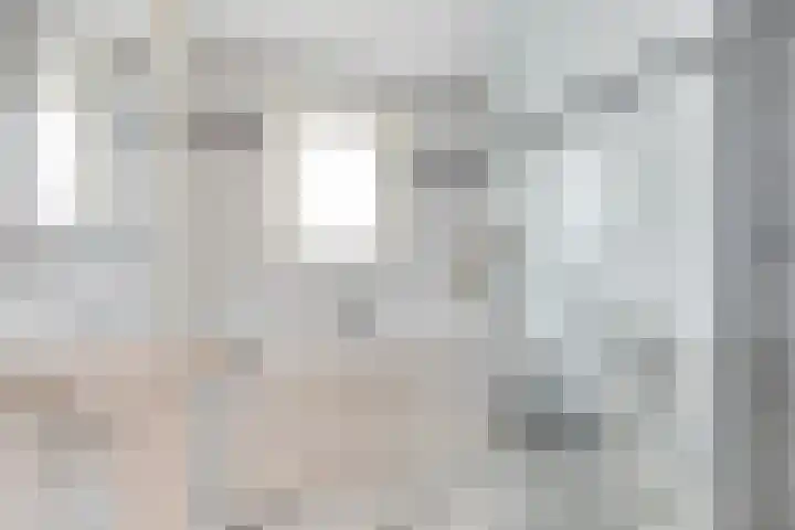 Houtweg 22 Alkmaar thumbnail 32
