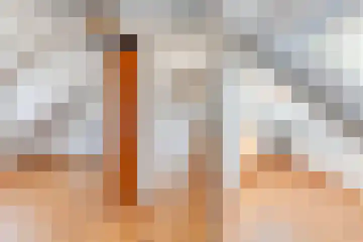 Houtweg 22 Alkmaar thumbnail 37