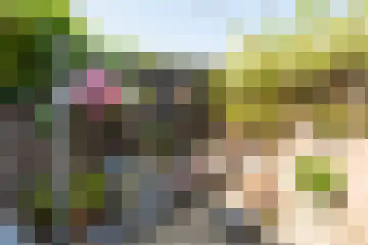 Houtweg 22 Alkmaar thumbnail 44