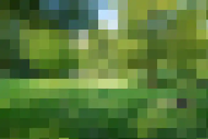 Houtweg 22 Alkmaar thumbnail 45