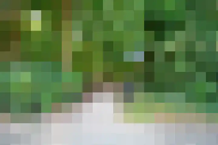 Houtweg 22 Alkmaar thumbnail 46
