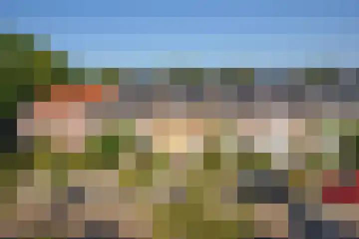 Houtweg 22 Alkmaar thumbnail 49