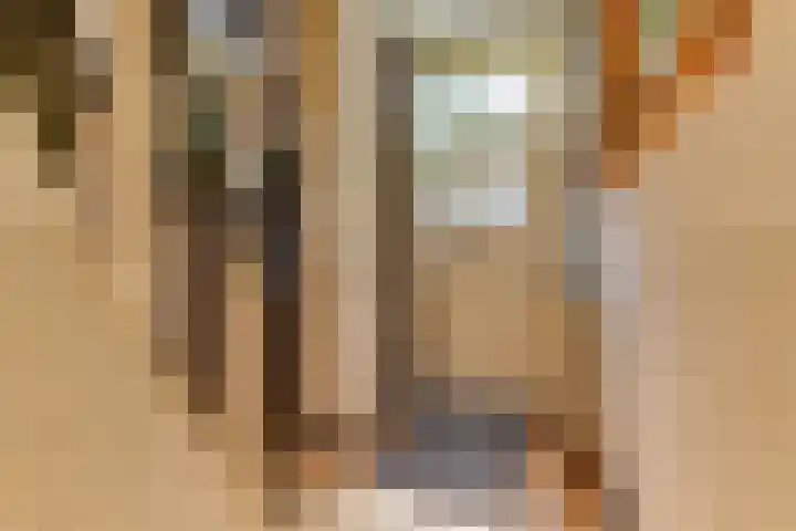 Houtweg 22 Alkmaar thumbnail 7