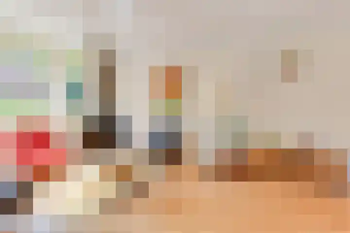 Houtweg 22 Alkmaar thumbnail 9