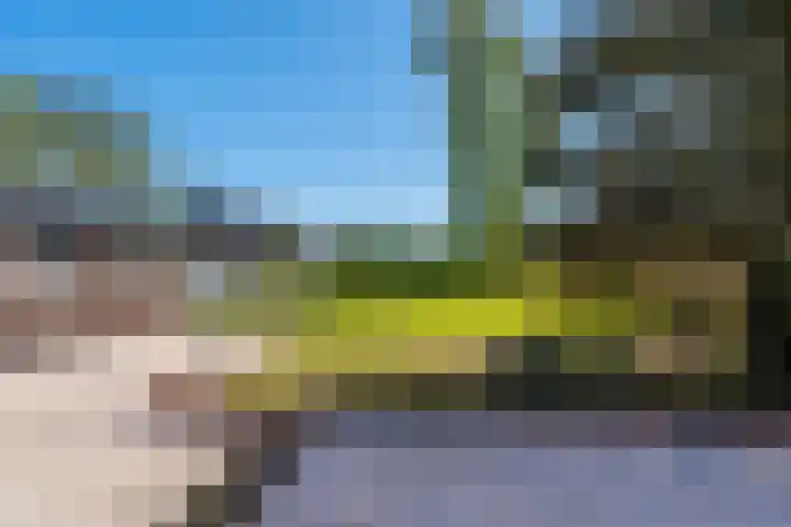 Houtweg 22 Farmsum thumbnail 18