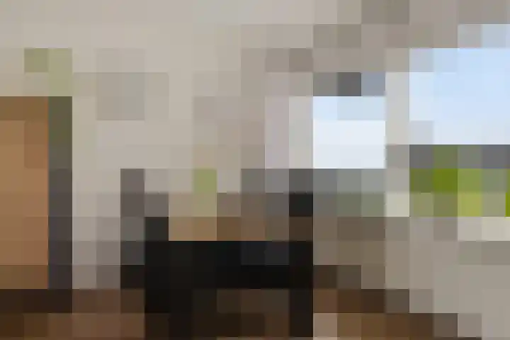 Houtweg 238 Emmen thumbnail 15