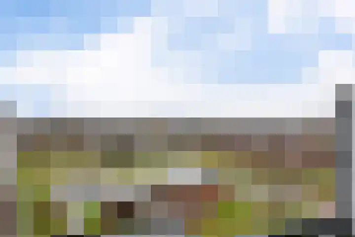 Houtweg 238 Emmen thumbnail 44