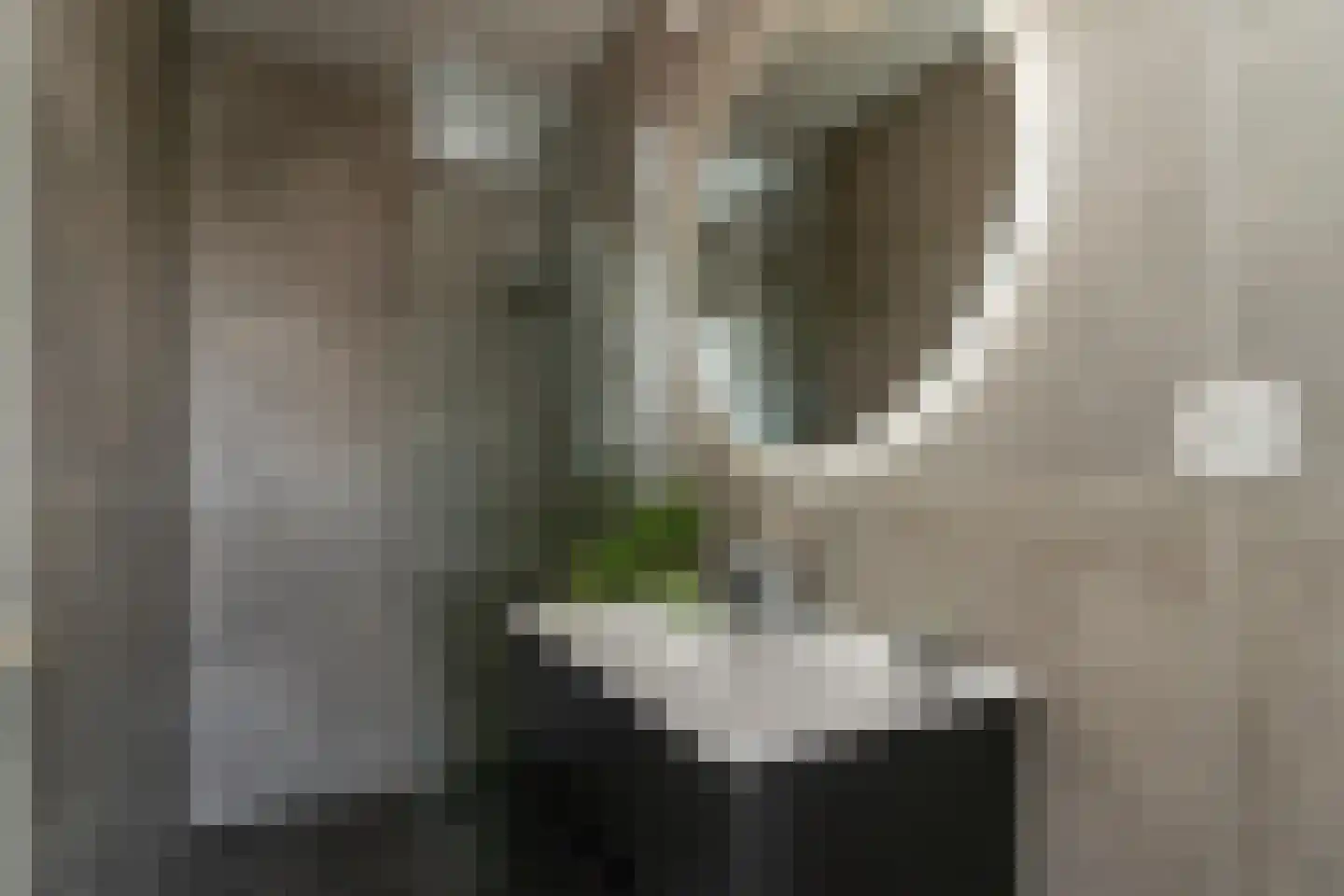 Houtweg 245 Emmen thumbnail 25