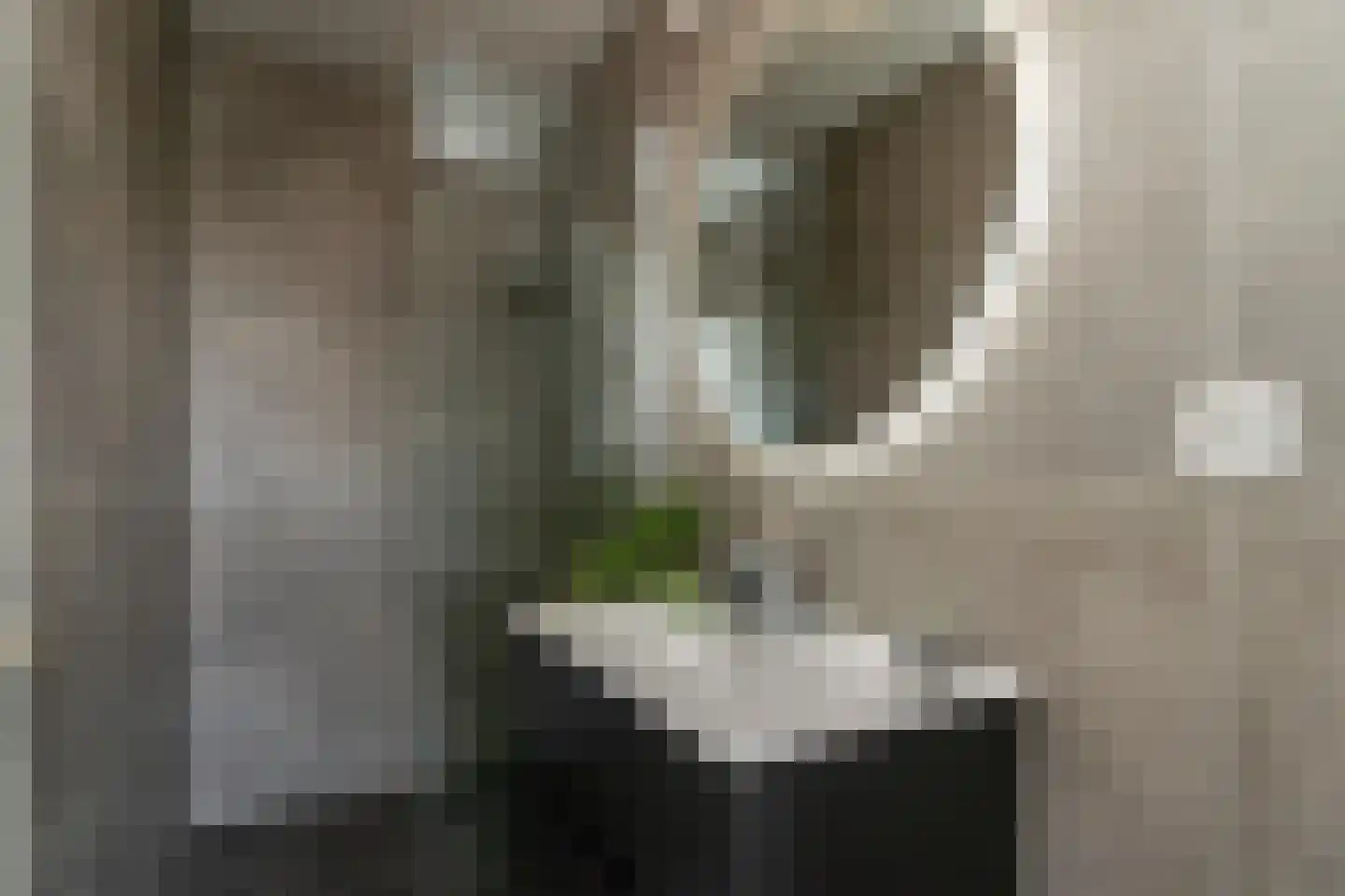 Houtweg 245 Emmen thumbnail 5
