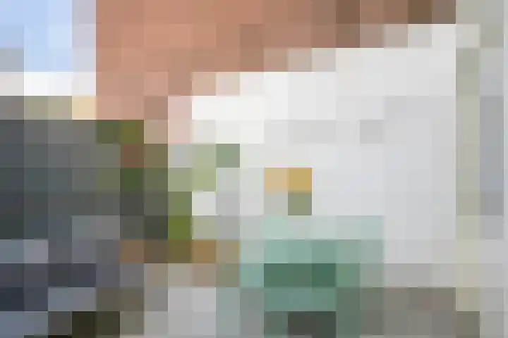 Houtweg 26 Alkmaar thumbnail 11