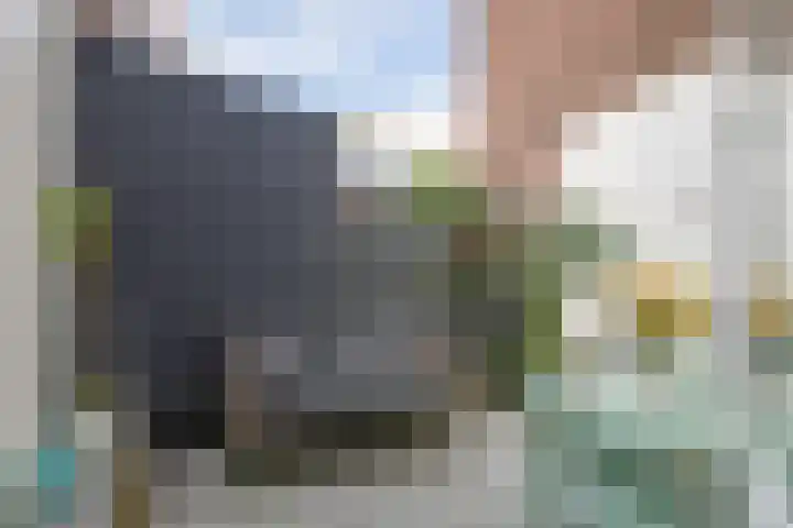 Houtweg 26 Alkmaar thumbnail 12