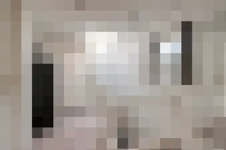 Houtweg 26 Alkmaar thumbnail 13