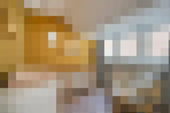 Houtweg 26 Alkmaar thumbnail 15