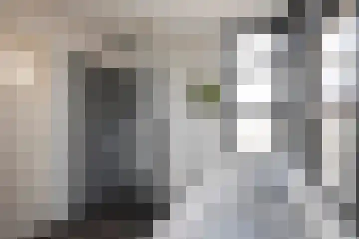 Houtweg 26 Alkmaar thumbnail 18