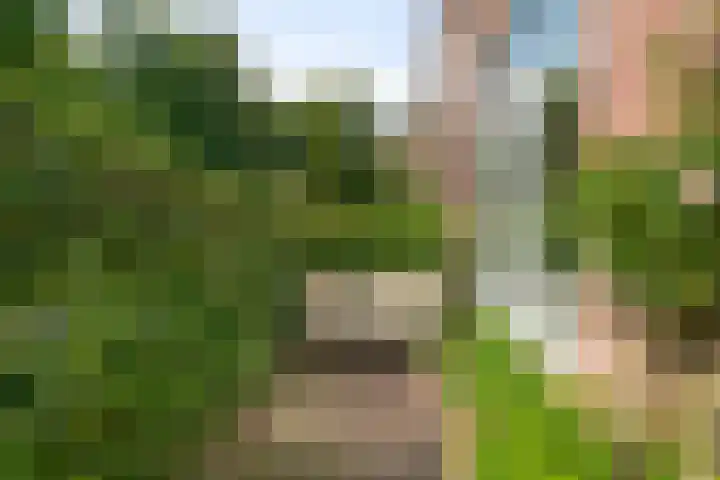 Houtweg 26 Alkmaar thumbnail 22