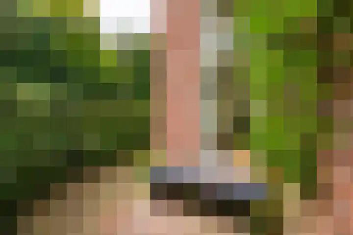 Houtweg 26 Alkmaar thumbnail 23