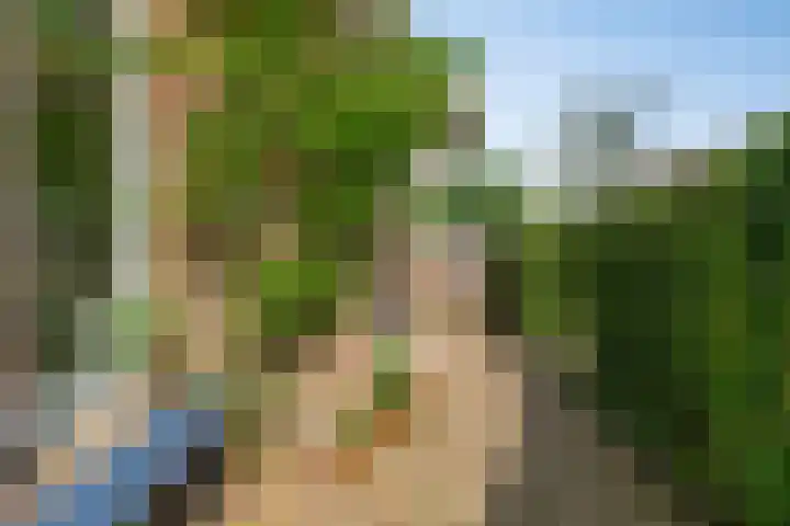 Houtweg 26 Alkmaar thumbnail 24