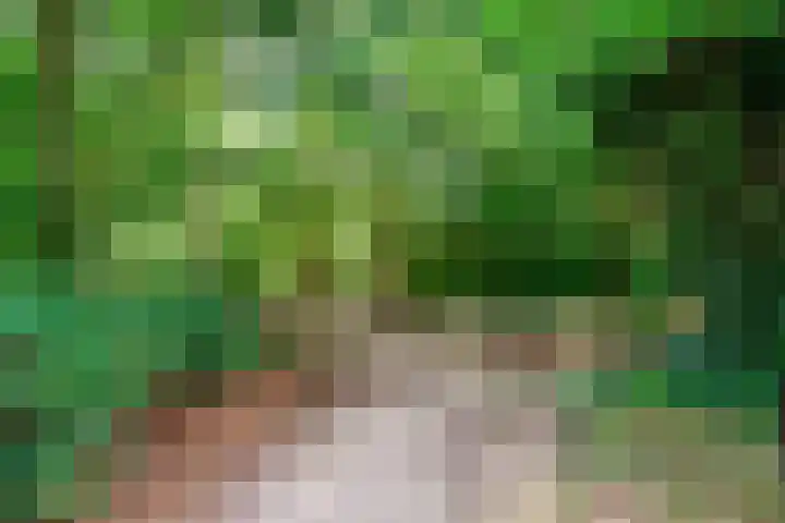 Houtweg 26 Alkmaar thumbnail 25