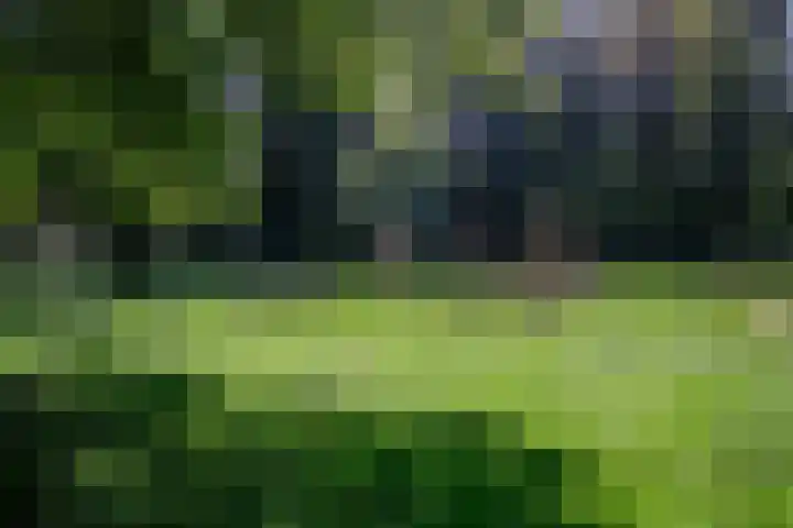 Houtweg 26 Alkmaar thumbnail 26